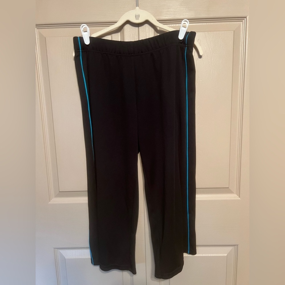 Champion Black Pants with Blue Stripes